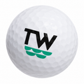 Pro V1 TW Golf Balls